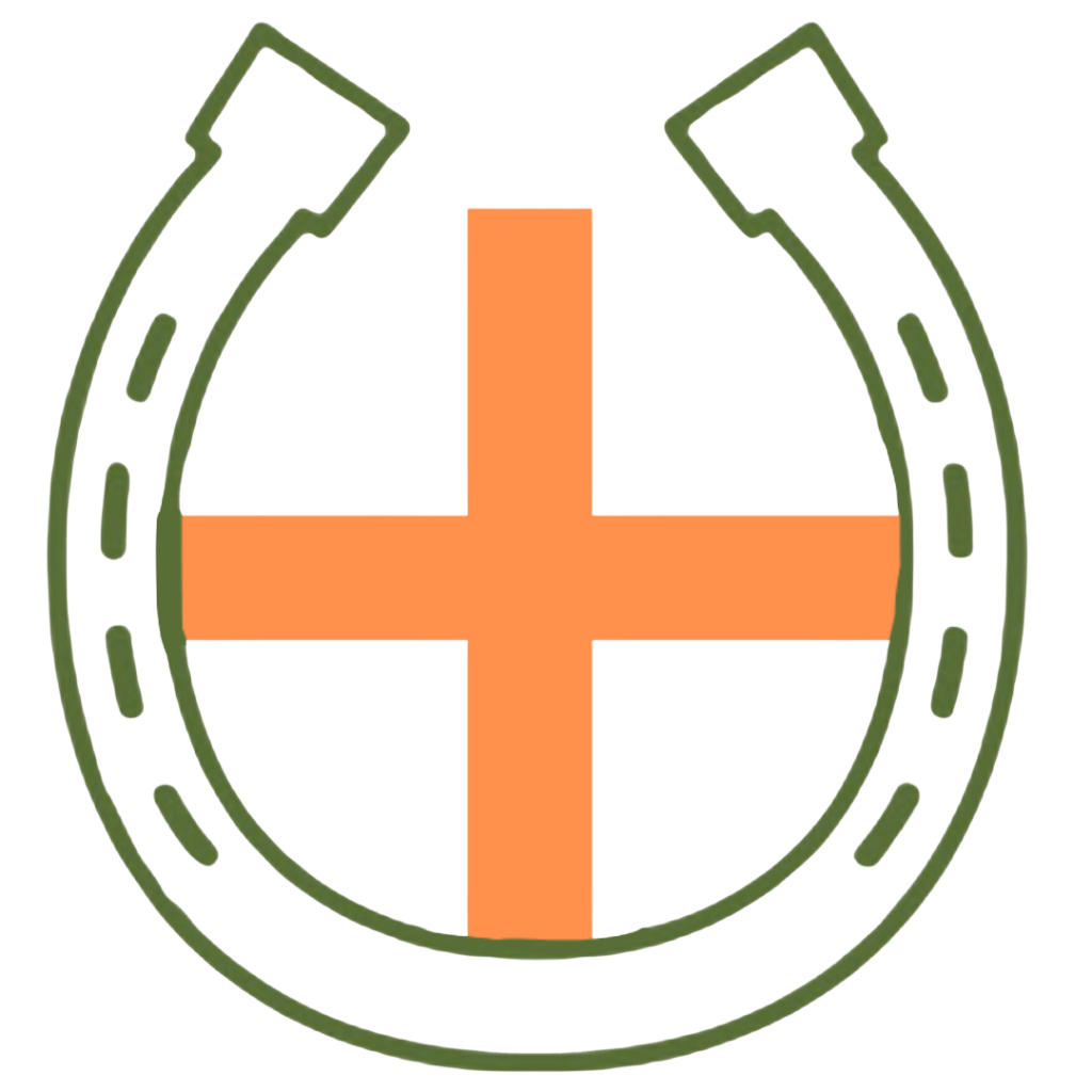 Rettungssanitäter für Pferde | Ausbildung & Netzwerk