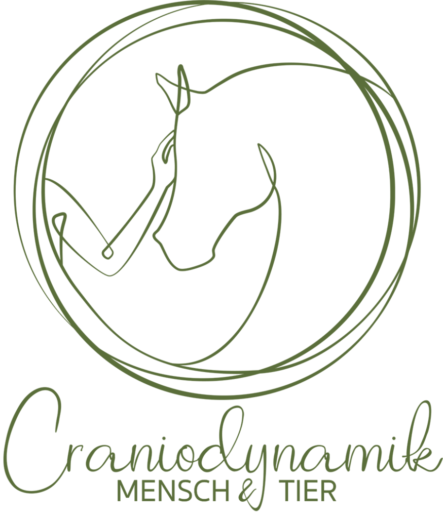 Elena Ochoko | Rettungssanitäter für Pferde | Craniodynamik