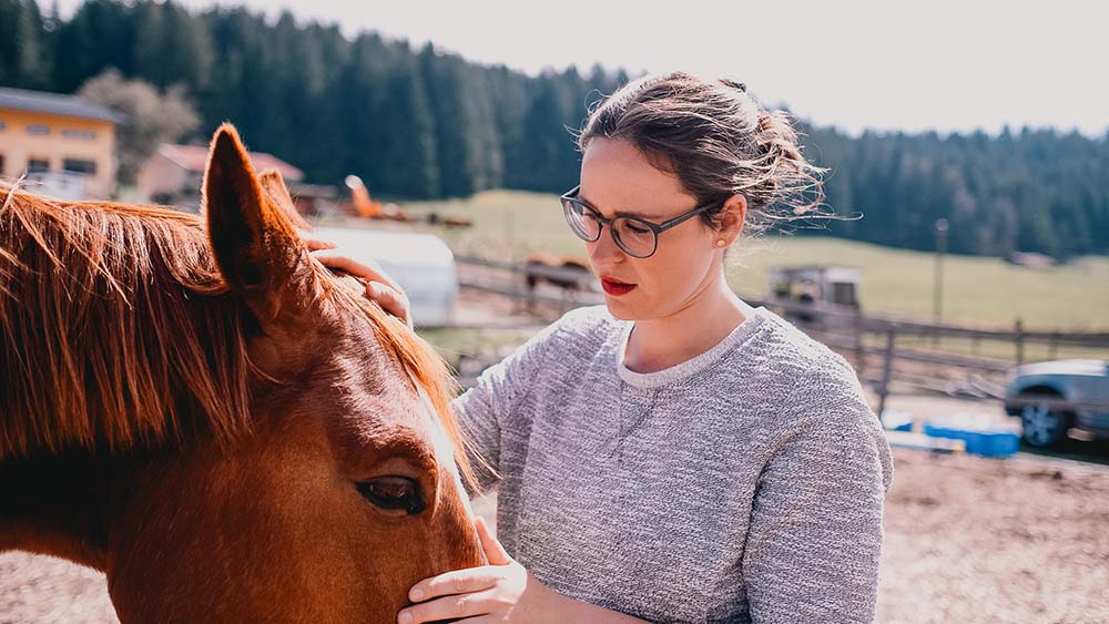 Rettungssanitäter für Pferde | Ausbildung & Netzwerk